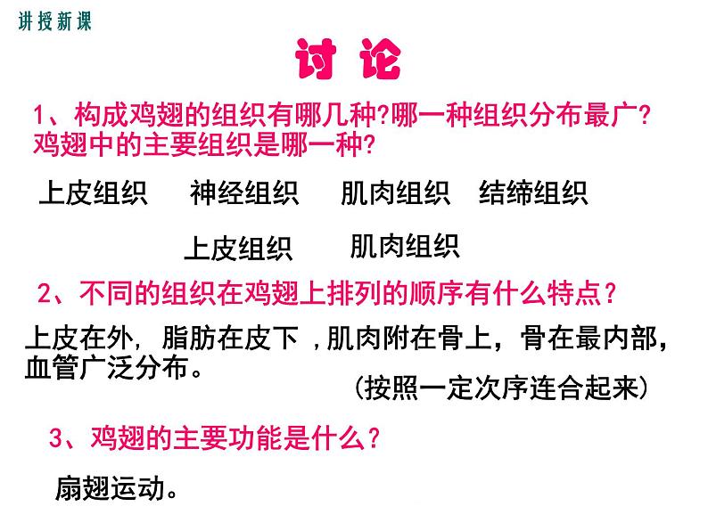 2.4.2  生物体的器官、系统+课件08