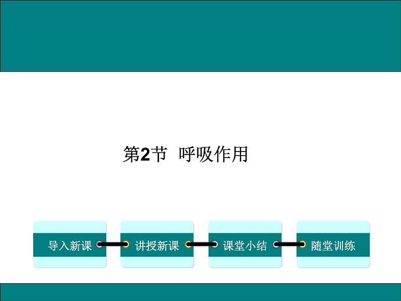 3.5.2  呼吸作用+课件01