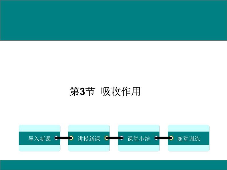 3.5.3  吸收作用 +课件01