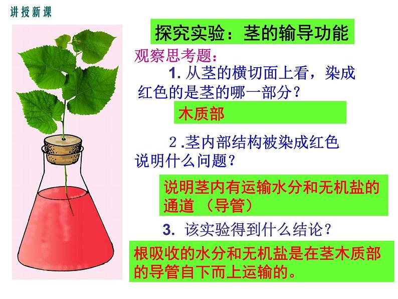 3.5.5运输作用+课件05