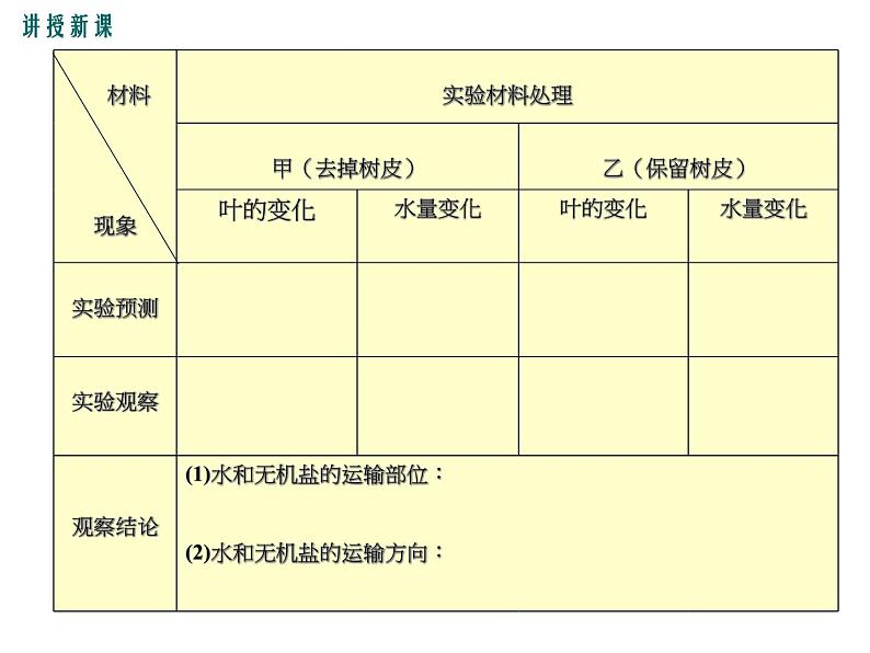 3.5.5运输作用+课件06