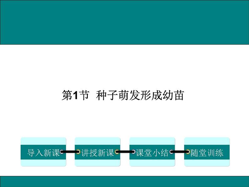 3.6.1  种子萌发形成幼苗+课件01