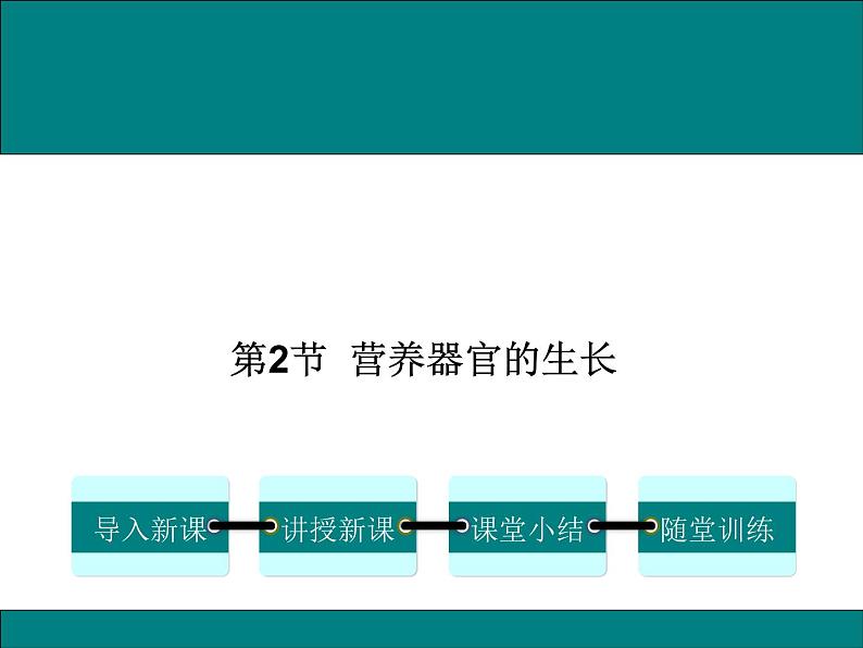 3.6.2  营养器官的生长+课件01