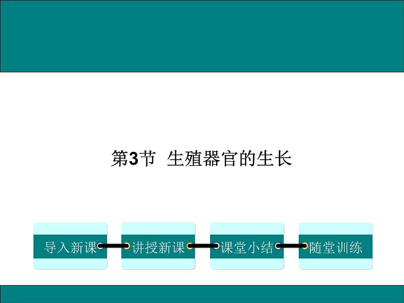 3.6.3  生殖器官的生长+课件01