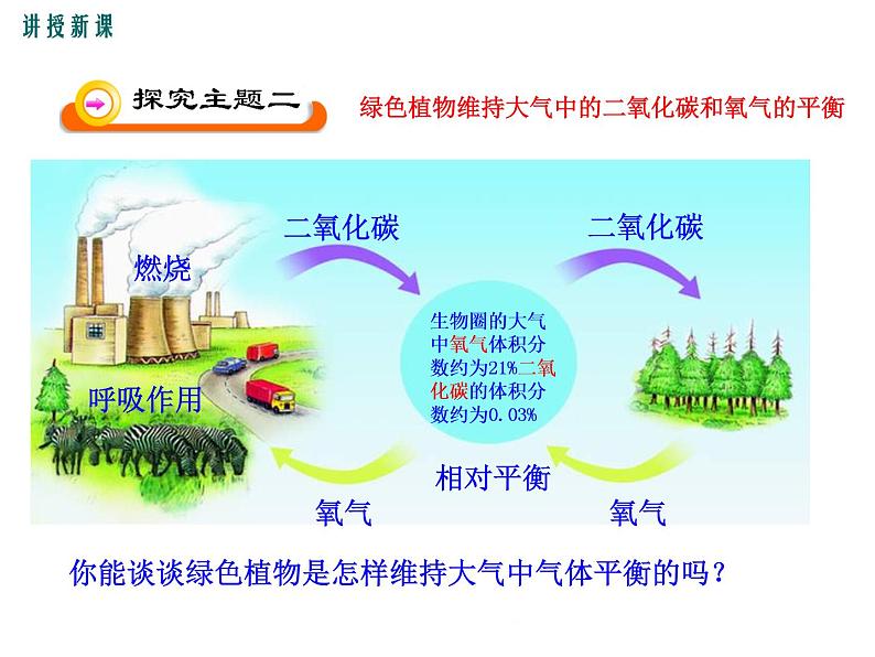 3.7  绿色植物与生物圈+课件06