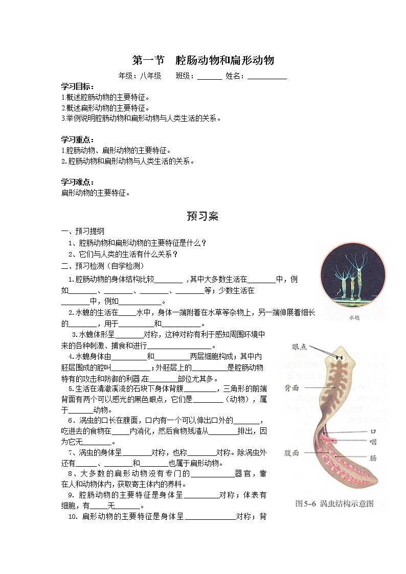 5.1.1  腔肠动物和扁形动物+学案01