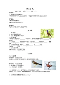人教版 (新课标)八年级上册第六节   鸟导学案