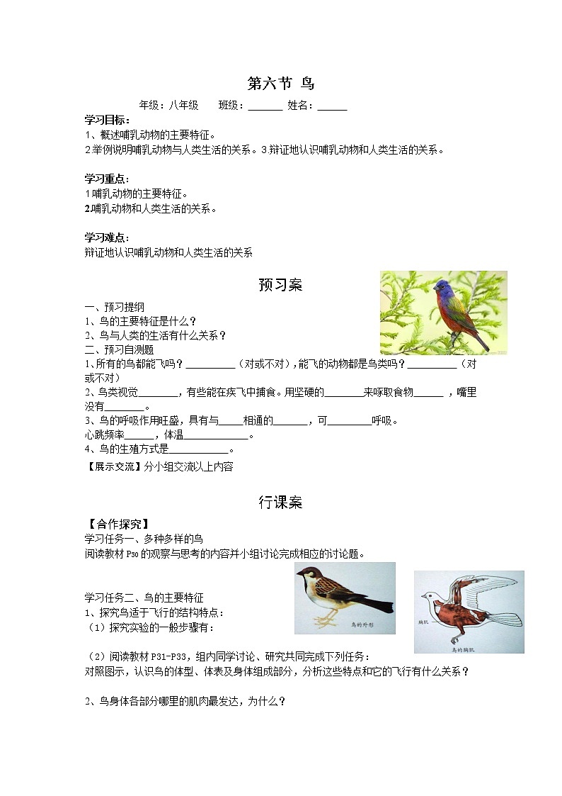 5.1.6  鸟+学案01