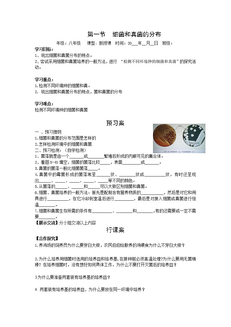 5.4.1  细菌和真菌的分布+学案01