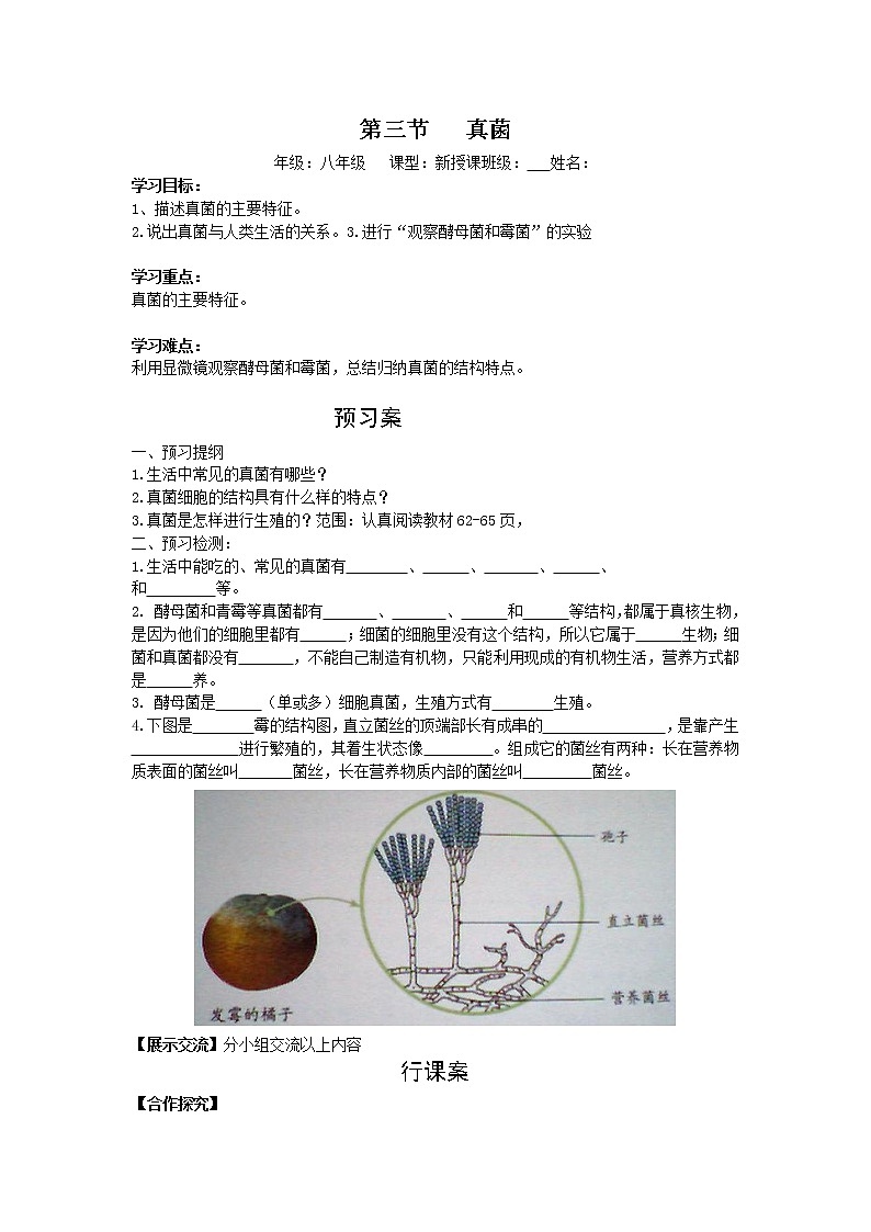 5.4.3  真菌+学案01