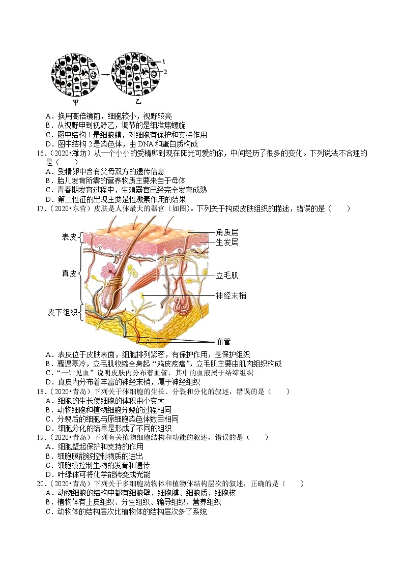 山东省2018-2020年近三年中考生物试题分类（1）——生命的结构层次（含解析）03