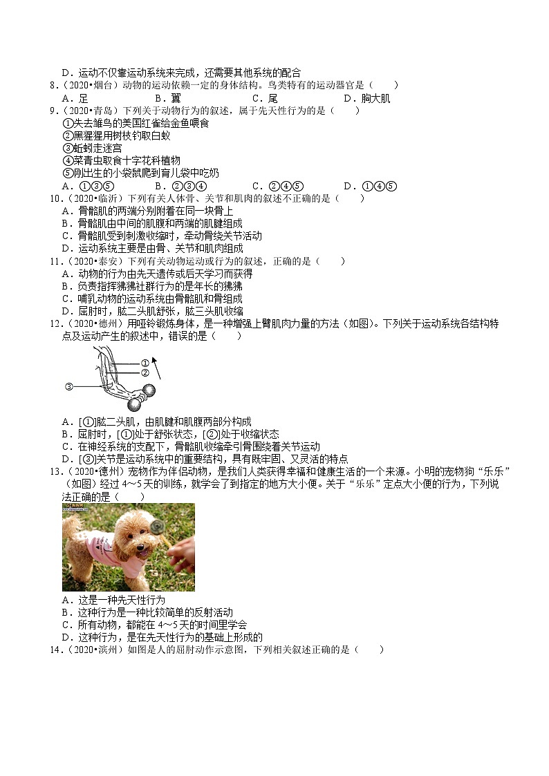 山东省2018-2020年近三年中考生物试题分类（5）——动物的运动和行为（含解析）02