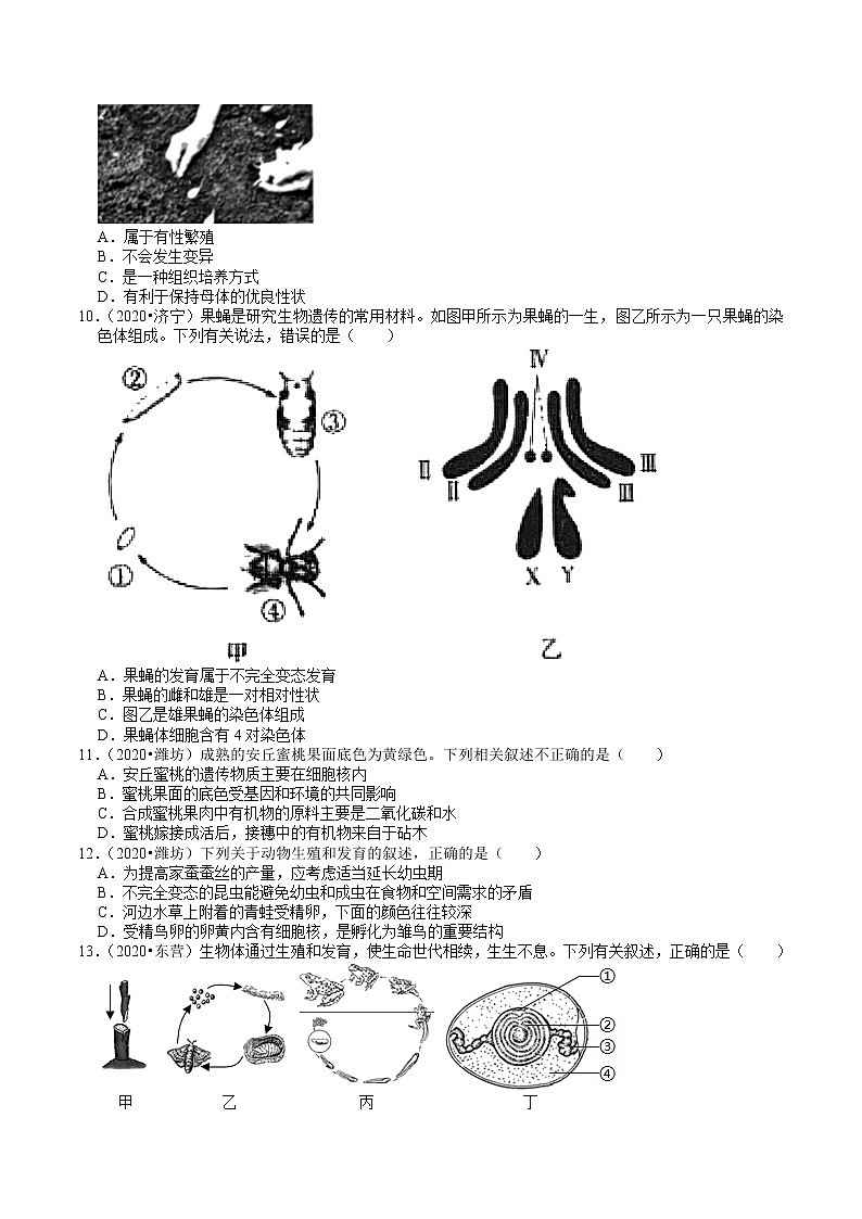 山东省2018-2020年近三年中考生物试题分类（6）——生物的生殖、发育、遗传（含解析）02