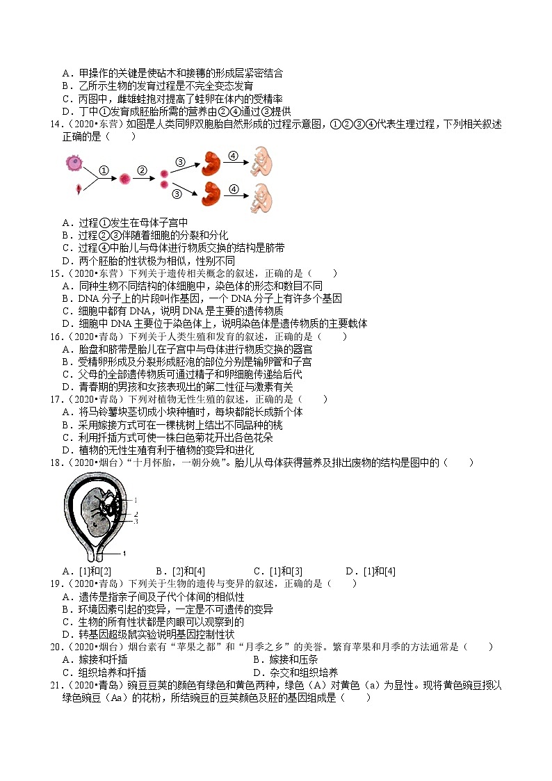 山东省2018-2020年近三年中考生物试题分类（6）——生物的生殖、发育、遗传（含解析）03