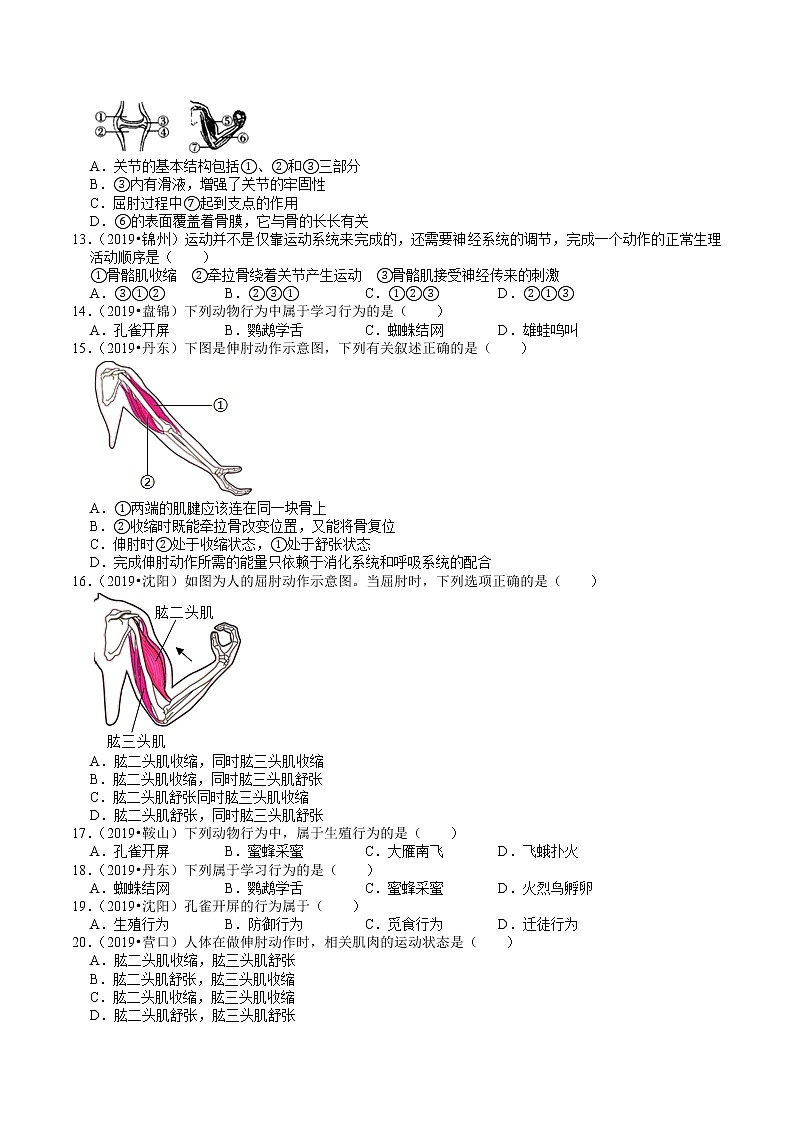 辽宁省2018-2020年近三年中考生物试题分类（5）——动物的运动和行为(含解析)第2页