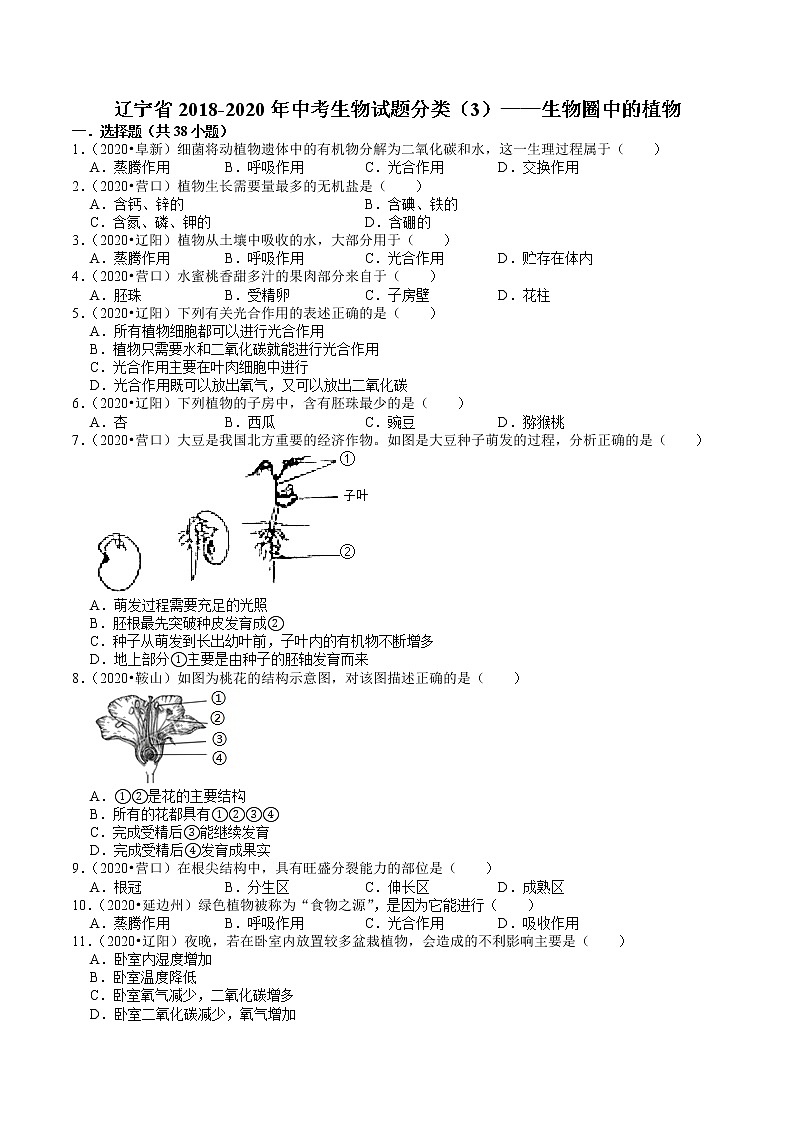辽宁省2018-2020年近三年中考生物试题分类（3）——生物圈中的植物(含解析)01