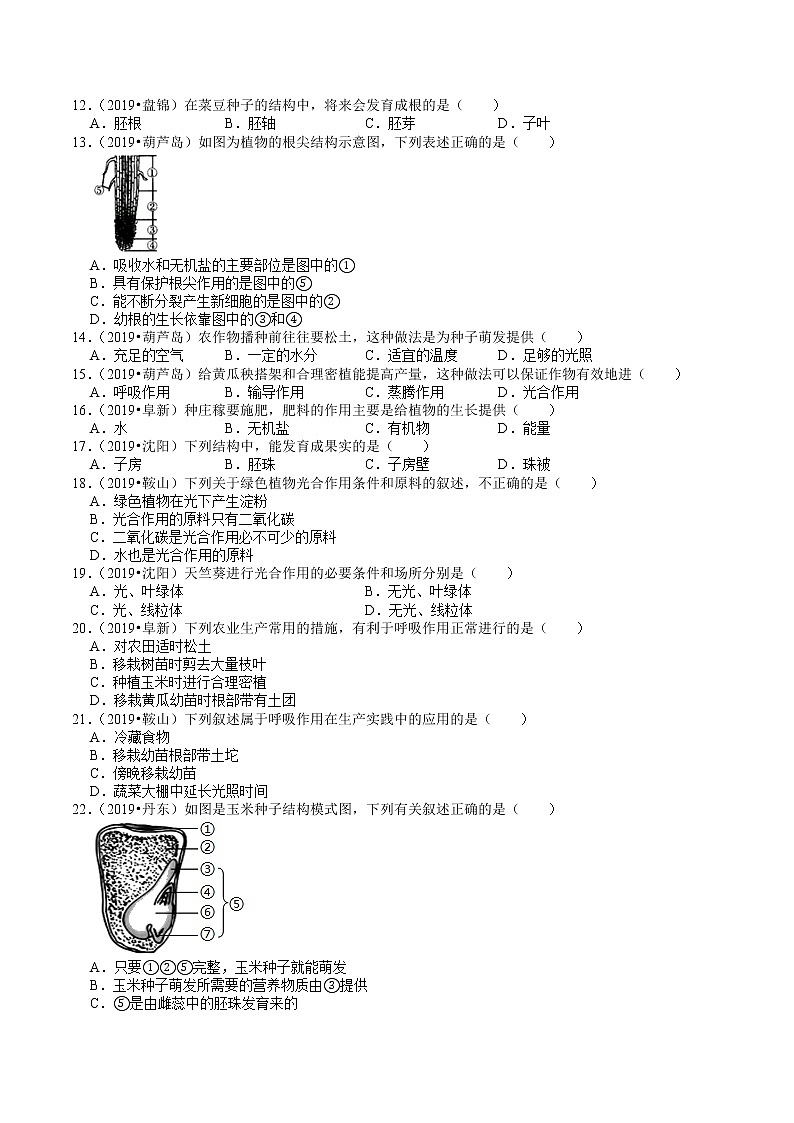 辽宁省2018-2020年近三年中考生物试题分类（3）——生物圈中的植物(含解析)02