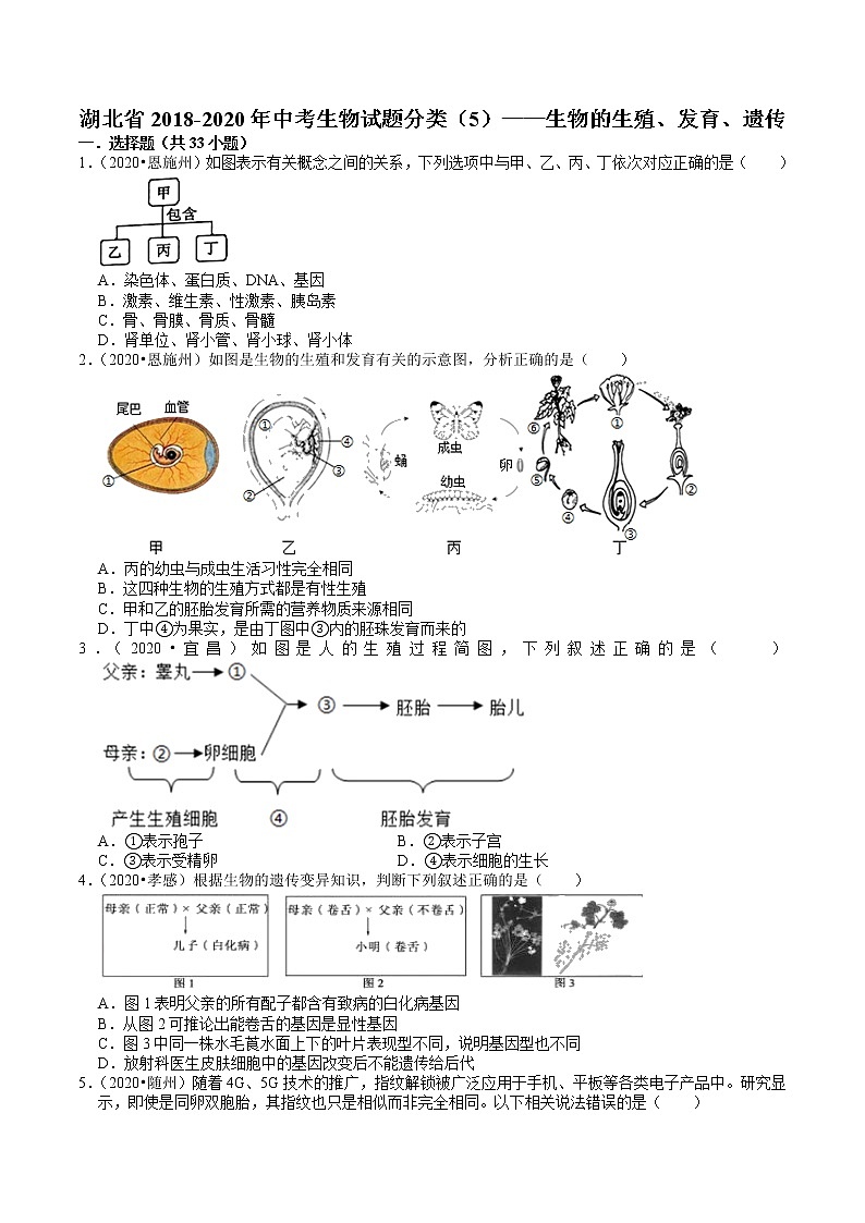 湖北省2018-2020年近三年中考生物试题分类（5）——生物的生殖、发育、遗传(含解析)01