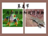5.1.5两栖动物和爬行动物 课件 人教版八年级上册生物（36张ppt）