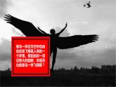 5.1.6鸟 课件 人教版八年级上册生物（22张ppt）
