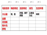 5.1.6鸟 课件 人教版八年级上册生物（22张ppt）