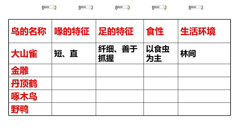 5.1.6鸟 课件 人教版八年级上册生物（22张ppt）04