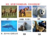 5.1.7哺乳动物 课件 人教版八年级上册生物（24张PPT）
