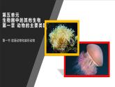 _  5.1.1  腔肠动物和扁形动物 课件 人教版八年级上册生物（34张ppt）