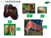 _5.1.3软体动物和节肢动物 课件 人教版八年级上册生物（37张ppt）(等6份资料)