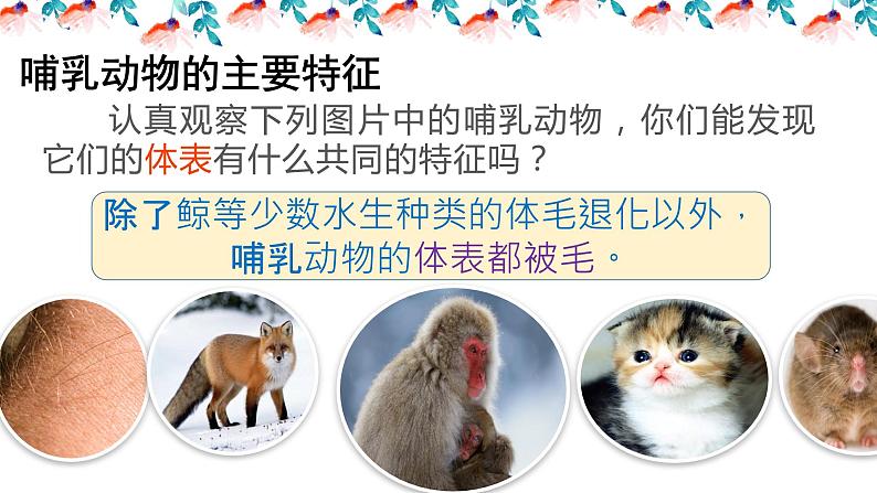 _5.1.3软体动物和节肢动物 课件 人教版八年级上册生物（37张ppt）(等6份资料)05