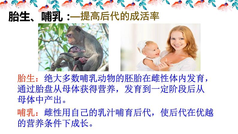 _5.1.3软体动物和节肢动物 课件 人教版八年级上册生物（37张ppt）(等6份资料)08