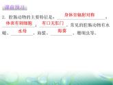 5.1.1腔肠动物和扁形动物共23张PPT