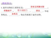 5.1.1腔肠动物和扁形动物共23张PPT