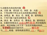 1.2 线形动物和环节动物课件3（47张ppt）新人教版八年级上