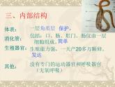 5.1.2线形动物和环节动物（38张PPT）