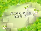 5.1.4鱼 课件（31张PPT）