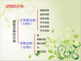 5.1.4鱼 课件（31张PPT）