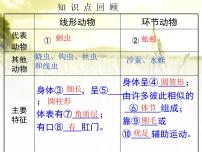 初中生物第五单元 生物圈中的其他生物第一章   动物的主要类群第三节   软体动物和节肢动物评课ppt课件