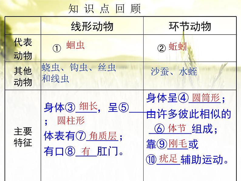 5.1.3软体动物和节肢动物（49张PPT）01