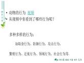 5.2.2先天性行为和学习行为（38张PPT）