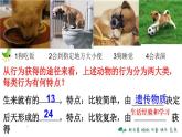 5.2.2先天性行为和学习行为（38张PPT）