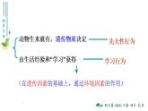 5.2.2先天性行为和学习行为（38张PPT）