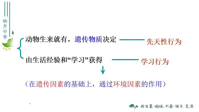 5.2.2先天性行为和学习行为（38张PPT）第4页