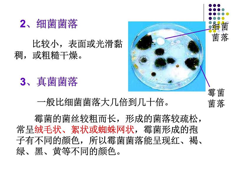 2018年秋人教版生物八年级下册教学课件：  第五单元 第4章 第一节  细菌和真菌的分布第5页