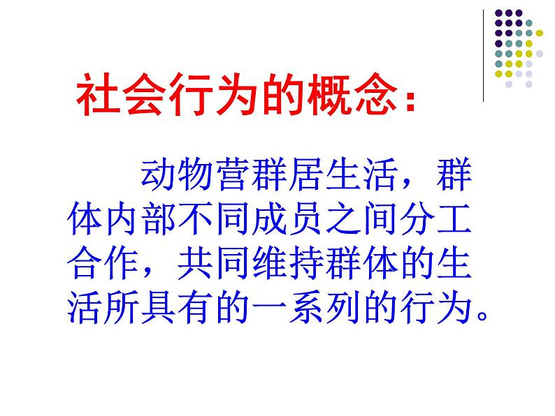 2018年秋人教版生物八年级下册教学课件：  第五单元 第二章 第三节  社会行为07