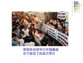 2018年秋人教版生物八年级下册教学课件：  第五单元 第4章 第二节  细菌