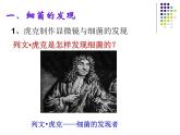 2018年秋人教版生物八年级下册教学课件：  第五单元 第4章 第二节  细菌