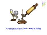 2018年秋人教版生物八年级下册教学课件：  第五单元 第4章 第二节  细菌