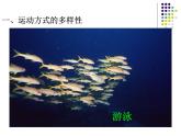 2018年秋人教版生物八年级下册教学课件：  第五单元 第二章 第一节  动物的运动