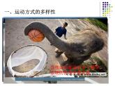 2018年秋人教版生物八年级下册教学课件：  第五单元 第二章 第一节  动物的运动